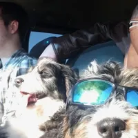 processed/759424f9-052a-467b-a403-1b28f68efb28/facility/64cde63d-1813-4f21-bc29-f7f2e545f5b7