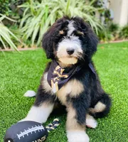 processed/759424f9-052a-467b-a403-1b28f68efb28/facility/7eab831d-6c1b-45e3-a910-5519b51b9feb