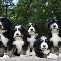 processed/759424f9-052a-467b-a403-1b28f68efb28/facility/b5903e3f-55bc-4bf2-ab85-589ffe10099a