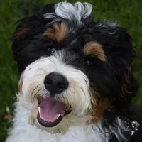 processed/759424f9-052a-467b-a403-1b28f68efb28/facility/f6447d6a-1914-4a06-b747-461c62216860