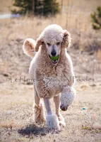 processed/75b2e67d-741d-4b8e-b413-3e835de289e9/facility/e7674cd2-0c35-4516-a5c8-2707836940c6