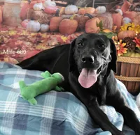 processed/75bfb1d1-2e75-4b84-b221-a8a5fdb85e26/listing/88639491-b041-44ec-9789-39bc55b7e70c/3f9ecc3d-e6f1-4ad5-a9fb-7f2723af52e3