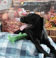 processed/75bfb1d1-2e75-4b84-b221-a8a5fdb85e26/listing/88639491-b041-44ec-9789-39bc55b7e70c/fdbc474f-a8d5-404c-879c-f328ecd3eaaf