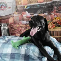 processed/75bfb1d1-2e75-4b84-b221-a8a5fdb85e26/listing/88639491-b041-44ec-9789-39bc55b7e70c/ff141cb4-8456-420e-94b8-6dba2697d416