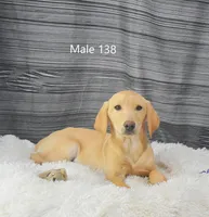 processed/75bfb1d1-2e75-4b84-b221-a8a5fdb85e26/listing/b7ff66b4-a938-451b-972b-3665c5835d6f/b18d90e7-d845-46d8-a1a0-a6d5369e5f60