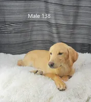 processed/75bfb1d1-2e75-4b84-b221-a8a5fdb85e26/listing/b7ff66b4-a938-451b-972b-3665c5835d6f/d950a356-829c-41f2-b97c-727d025bef3d