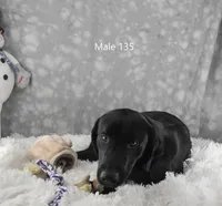 processed/75bfb1d1-2e75-4b84-b221-a8a5fdb85e26/listing/b93e92ea-eaf2-42d9-8ba9-c7737a133ce6/2040b3bd-766b-4a9f-832a-c2be02cb2e24