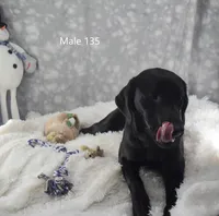 processed/75bfb1d1-2e75-4b84-b221-a8a5fdb85e26/listing/b93e92ea-eaf2-42d9-8ba9-c7737a133ce6/3c3536d7-8db7-4c6b-9b8e-134f2e2b41f4