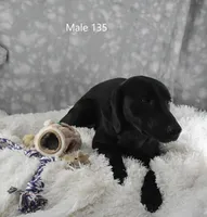 processed/75bfb1d1-2e75-4b84-b221-a8a5fdb85e26/listing/b93e92ea-eaf2-42d9-8ba9-c7737a133ce6/89ad3ad8-abaa-42e2-a9d6-81c93aa003e8