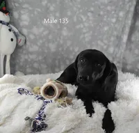 processed/75bfb1d1-2e75-4b84-b221-a8a5fdb85e26/listing/b93e92ea-eaf2-42d9-8ba9-c7737a133ce6/d7d11b2a-aeef-4a6a-80ca-2b13d3e12538