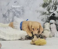 processed/75bfb1d1-2e75-4b84-b221-a8a5fdb85e26/listing/c6592f10-ae6c-4472-8e85-9e309c826b74/0c8c05e6-2d6d-4fde-89b4-bdf17e8f6763