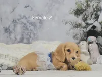 processed/75bfb1d1-2e75-4b84-b221-a8a5fdb85e26/listing/c6592f10-ae6c-4472-8e85-9e309c826b74/7070bb5c-4d31-4034-9cbf-189cc0b7cc94