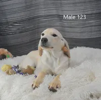 processed/75bfb1d1-2e75-4b84-b221-a8a5fdb85e26/listing/e10306aa-b64d-4d20-a70d-4bbd76d00aa4/451c31b8-9609-4578-9ed4-c707129a4fe9