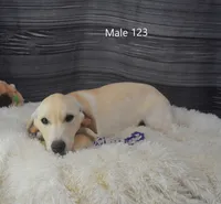 processed/75bfb1d1-2e75-4b84-b221-a8a5fdb85e26/listing/e10306aa-b64d-4d20-a70d-4bbd76d00aa4/9382ce8e-68f0-4ba7-af0e-08325af3f5a0