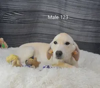 processed/75bfb1d1-2e75-4b84-b221-a8a5fdb85e26/listing/e10306aa-b64d-4d20-a70d-4bbd76d00aa4/e6e01361-ee35-408b-a716-c3dce29b3c7e