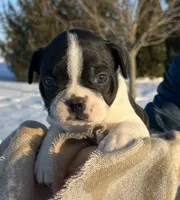 processed/75cedb22-4882-4e22-a0a3-0f44036a3d95/listing/1bfeb36c-eef1-4bf8-8ce0-738ed392503a/4de0500f-869e-471a-86eb-9227922ad3fe