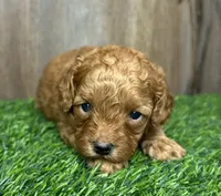 processed/75cedb22-4882-4e22-a0a3-0f44036a3d95/listing/845c0683-8744-4a60-a01f-66862d8a13ab/44a9e8cf-2d70-4306-a189-11277a596492