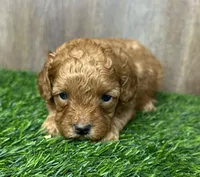 processed/75cedb22-4882-4e22-a0a3-0f44036a3d95/listing/845c0683-8744-4a60-a01f-66862d8a13ab/e4135a72-9d0e-4a80-9c56-fd3d43e60f3a