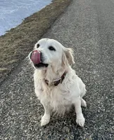 processed/75cedb22-4882-4e22-a0a3-0f44036a3d95/listing/9db696f9-6d6b-4d51-895d-31e27c12c90c/0fb7abbf-6312-40ff-ba83-8ba60bd50f05