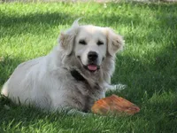 processed/75cedb22-4882-4e22-a0a3-0f44036a3d95/listing/9db696f9-6d6b-4d51-895d-31e27c12c90c/9278e2c7-a986-46ca-8162-81b9a9798b99