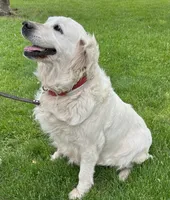 processed/75cedb22-4882-4e22-a0a3-0f44036a3d95/listing/9db696f9-6d6b-4d51-895d-31e27c12c90c/b8083b9b-88f2-4551-a98c-bd5f048fa2dd