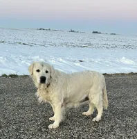 processed/75cedb22-4882-4e22-a0a3-0f44036a3d95/listing/9db696f9-6d6b-4d51-895d-31e27c12c90c/b82d3a09-0baa-4526-a954-5f136579b3ce