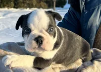 processed/75cedb22-4882-4e22-a0a3-0f44036a3d95/listing/eecd5a60-8aa1-4dbb-b04b-d4d59a8ba34f/87be686b-ec2c-450e-a05c-5450e3901b94