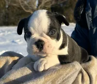 processed/75cedb22-4882-4e22-a0a3-0f44036a3d95/listing/eecd5a60-8aa1-4dbb-b04b-d4d59a8ba34f/9cd9ed7a-2f27-4eeb-bd57-d2826f374a20