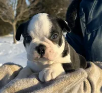 processed/75cedb22-4882-4e22-a0a3-0f44036a3d95/listing/eecd5a60-8aa1-4dbb-b04b-d4d59a8ba34f/abd7fa94-8fd2-4667-a89e-942fe85a198a