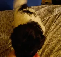 processed/75e195bc-7854-4c1d-92dc-ad3511091e00/listing/39a769fc-b6ca-4991-a905-45e128c2c224/21612aff-8c8a-4c8f-825a-6601c08c4e5f