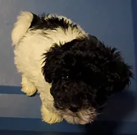 processed/75e195bc-7854-4c1d-92dc-ad3511091e00/listing/39a769fc-b6ca-4991-a905-45e128c2c224/596f9d0c-2b3a-4921-adfe-b8b41e4133b1