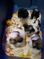 processed/75e195bc-7854-4c1d-92dc-ad3511091e00/listing/39a769fc-b6ca-4991-a905-45e128c2c224/77489351-0497-4510-9d02-f027df92f80f