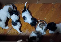 processed/75e195bc-7854-4c1d-92dc-ad3511091e00/listing/39a769fc-b6ca-4991-a905-45e128c2c224/77d940eb-7722-4e05-8d42-4a3e716bec2a