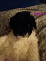 processed/75e195bc-7854-4c1d-92dc-ad3511091e00/listing/39a769fc-b6ca-4991-a905-45e128c2c224/7f5c9c2b-1ecf-467c-924b-7dbe88ee28a5