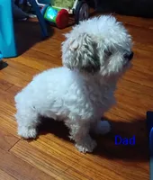 processed/75e195bc-7854-4c1d-92dc-ad3511091e00/listing/39a769fc-b6ca-4991-a905-45e128c2c224/8c90c6c5-b4ad-458b-9839-4aa13b5f50d2