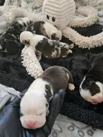 processed/75f4258b-1b40-45c2-8b77-277942fb81a7/facility/144fea92-e7dd-4fb0-bb18-369bab43871d