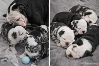 processed/75f4258b-1b40-45c2-8b77-277942fb81a7/facility/1dbb1f09-6857-4955-a6f0-0be846ae95dc