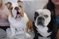 processed/75f4258b-1b40-45c2-8b77-277942fb81a7/facility/4c9452b4-7ec3-44ed-b3fe-aeb3aa08a3b5