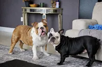 processed/75f4258b-1b40-45c2-8b77-277942fb81a7/facility/75ca1535-7b0d-42a5-9e31-bcb35f713784