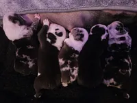 processed/75f4258b-1b40-45c2-8b77-277942fb81a7/facility/927f5861-6a2b-43d8-80be-697425e4b5a2