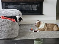 processed/75f4258b-1b40-45c2-8b77-277942fb81a7/facility/9b08254d-e26d-4005-baa1-2a1e9071a80d