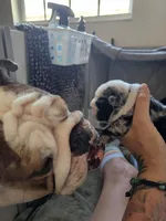 processed/75f4258b-1b40-45c2-8b77-277942fb81a7/facility/abbbaf3d-686e-441d-9b3e-81b69b110ffd