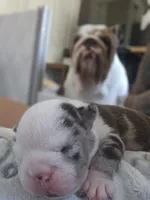 processed/75f4258b-1b40-45c2-8b77-277942fb81a7/facility/eae23e96-8495-43f4-8bfa-07524f38353f