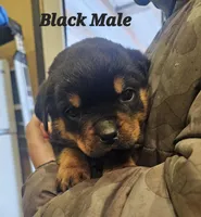 processed/75f753b0-69ec-465b-a6de-1b10c52f5753/listing/76af37e8-0ed1-4c6f-9893-0ba0a51d5777/c7aa2648-09cd-4905-8297-436515e02dca