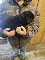 processed/75f753b0-69ec-465b-a6de-1b10c52f5753/listing/76af37e8-0ed1-4c6f-9893-0ba0a51d5777/db002bc7-56f0-4dda-a2c9-ddc55d87951c