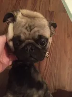 processed/75f7ba94-a3f9-442c-8b4d-c13f2ab4609d/listing/33592442-06a1-4250-9ac1-d8cf9cf76a30/31fbc34b-df68-42fc-b0dd-ec7f1cfaa987