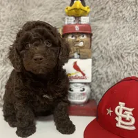 processed/75fa2f88-30c6-4cae-a0d3-b4699e4d73d9/facility/36fbc3bf-adda-4478-8f37-6628574aa024