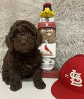 processed/75fa2f88-30c6-4cae-a0d3-b4699e4d73d9/facility/36fbc3bf-adda-4478-8f37-6628574aa024