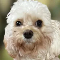 processed/75fa2f88-30c6-4cae-a0d3-b4699e4d73d9/facility/493b2926-ee74-4dc2-bd09-ce4ef87f1682