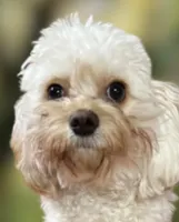 processed/75fa2f88-30c6-4cae-a0d3-b4699e4d73d9/facility/493b2926-ee74-4dc2-bd09-ce4ef87f1682